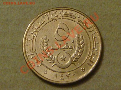 -v- Мавритания 5 угия 2009 до 21.10(21.00) - DSC04927.JPG