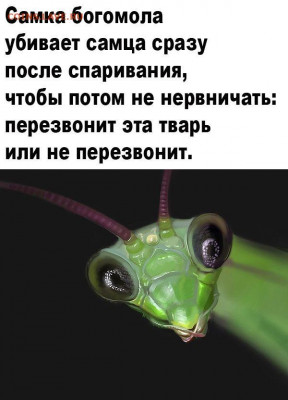 юмор - jVHVYSETZBc