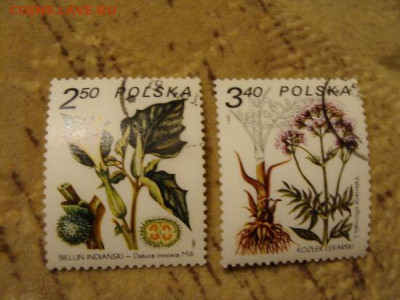 6 фото = 10 - DSC03487.JPG