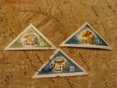 5 фото = 10 - DSC03486.JPG
