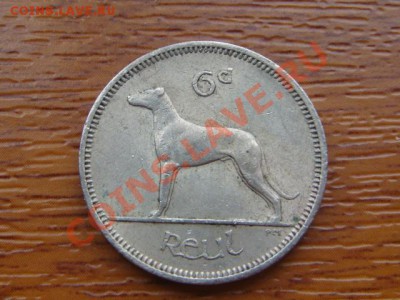 -v- Ираландия 6 пенсов 1968 Собака до 21.10(21.00) - DSC04937.JPG
