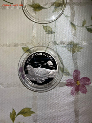 1 руб. Красная книга Кольчатая нерпа, 2007 до 04.05 - -RTwcapT4WI