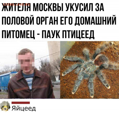 юмор - tiKXrYAJdIc