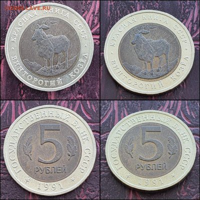 Винторогий Козел 5 рублей 1991 год лмд. До 03.05 - IMG-20210430-WA0014