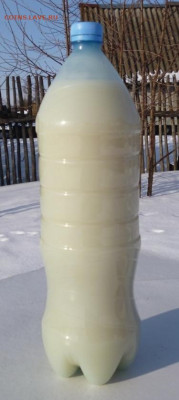 Медвежий жир - 6 — копия.JPG