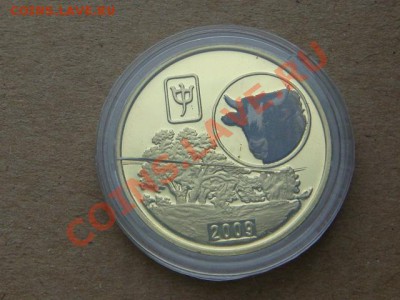 -v- Корея 20 вон 2009 пруф.Бык до 21.10(21.00) - DSC04974.JPG