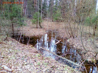 ФОТО - просто фото. Те что получились удачными. - 2021-05-02 12-00-01 (9)