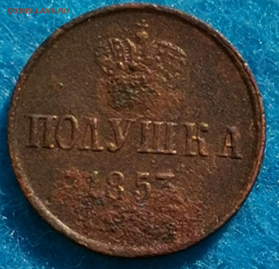 Полушка 1853г. Предпродажная оценка - IMG_20210503_160454_edit_306247901075662