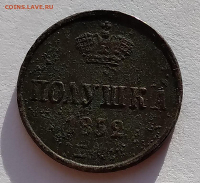 Полушка Николай I 1852г. ЕМ до 9.05.21г. 22:00 - 20210504_184602