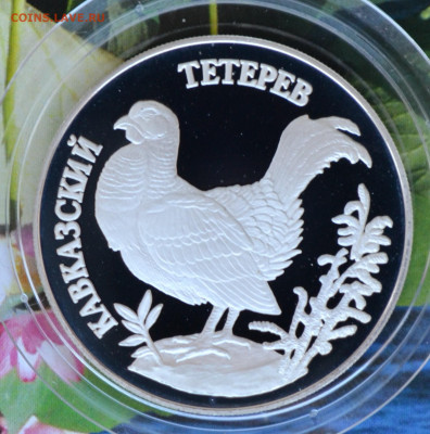 2 рубля КК набор 1995 - DSC_0128.JPG