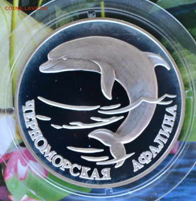 2 рубля КК набор 1995 - DSC_0102.JPG