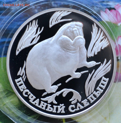 2 рубля КК 1996 год набор - DSC_0137.JPG