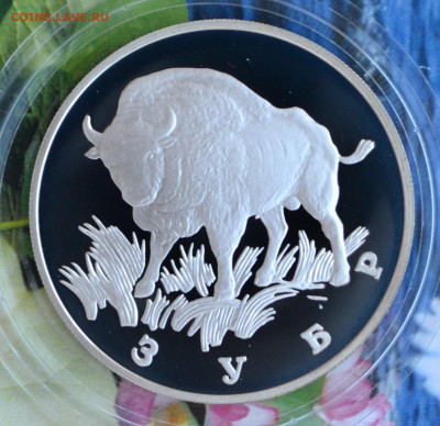 2 рубля КК 1997 год набор - DSC_0201.JPG