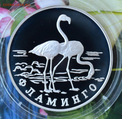 2 рубля КК 1997 год набор - DSC_0183.JPG