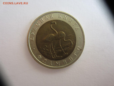 50 руб. 1994 Красная Книга. ФЛАМИНГО(2) до 10.05.в 22.00 мск - IMG_0981.JPG