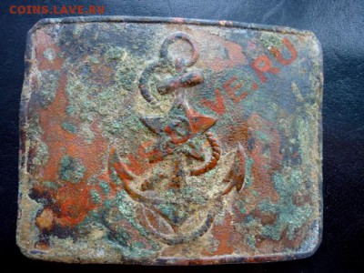 Непонятная морская пряжка - P1010098-1.JPG