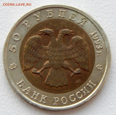 50 рублей 1993 Эублефар до 10.05.21 22 00 мск - DSCN5287.JPG