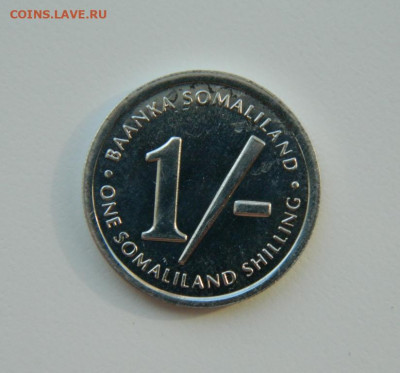 Сомалиленд 1 шиллинг 1994 г. (Фауна). до 13.05.21 - DSCN7955.JPG