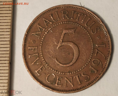 МАВРИКИЙ 5 центов 1971 (королева Елизавета II) до 11.05 - 127776516.0