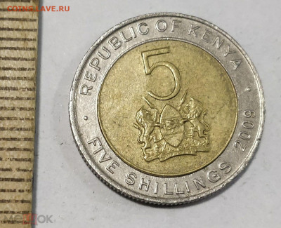 КЕНИЯ 5 шиллингов 2009 до 11.05 - 162998314.0