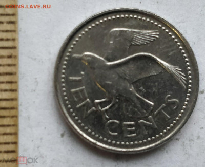 БАРБАДОС 10 центов 2004 (чайка) до 11.05 - 148136462.0