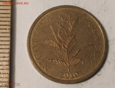 ХОРВАТИЯ 10 лип 2010 (табачный куст) до 11.05 - 129538148.1