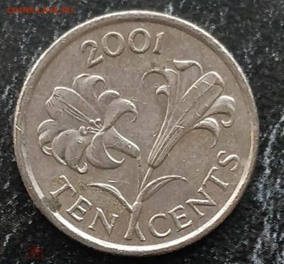 БЕРМУДЫ 10 центов 2001 (лилия) 11.05 - 189598653.0