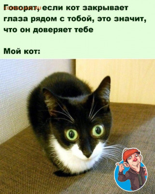 юмор - i (2)