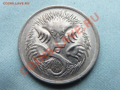 АВСТРАЛИЯ 5с 1981г.ЕХИДНА  до 22.10.11 в 22-00 - MEMO0070.JPG