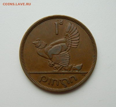 Ирландия 1 пенни 1946 г. (Фауна) до 13.05.21 - DSCN8725.JPG