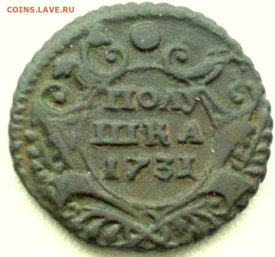 полушка 1731.редкая разновидность. 22.30 мск - P1011228 (2).JPG