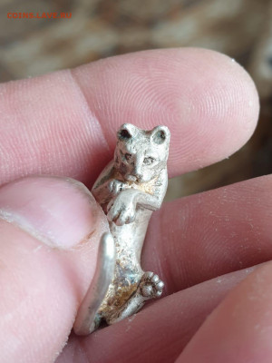 Кошечка серебро. - WhatsApp Image 2021-05-11 at 15.49.49