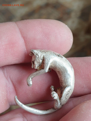 Кошечка серебро. - WhatsApp Image 2021-05-11 at 15.49.50