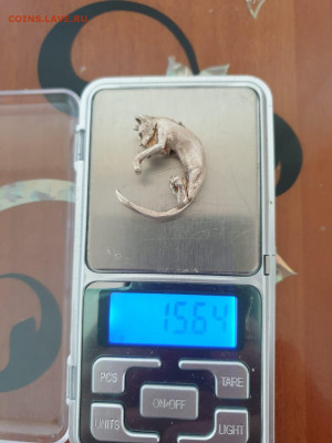 Кошечка серебро. - WhatsApp Image 2021-05-11 at 15.49.58
