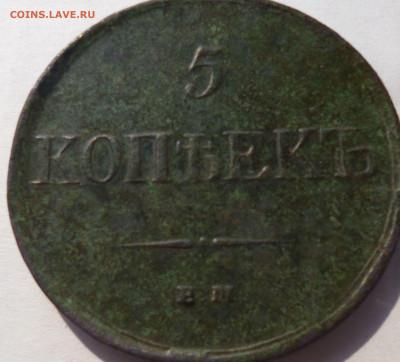 5 копеек 1831г ем фх. - аа2