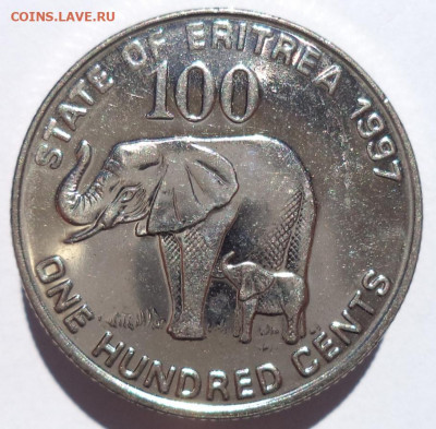 100 центов 1997 г. ЭРИТРЕЯ (Слоны) до 14.05.21 в 22:00 МСК - IMG_20210508_162928