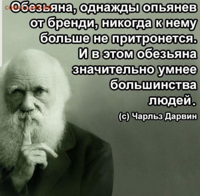 юмор - Screenshot_20210514-111011_Instagram