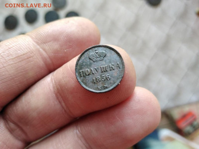 полушка 1856 ЕМ до 17.05.2021 - 1856 (17) - копия