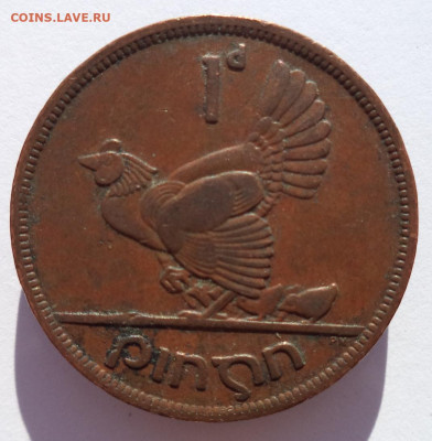 1 пенни 1948 г. ИРЛАНДИЯ (Курица) до 16.05.21 в 22:00 МСК - IMG_20210216_165015