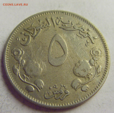 5 гирш 1956 Судан №5 20.05.2021 22:00 МСК - CIMG6707.JPG