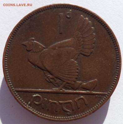 1 пенни 1928 г. ИРЛАНДИЯ (Курица) до 16.05.21 в 22:00 МСК - IMG_20210218_145512