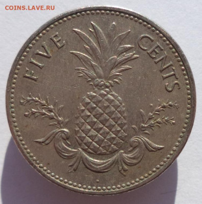 5 центов 2004 г. БАГАМСКИЕ О-ВА (Ананас) до 16.05.21 - IMG_20210217_175358