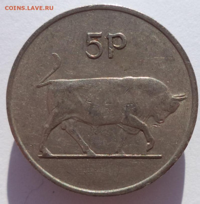 5 пенсов 1971 г. ИРЛАНДИЯ (Бык) до 16.05.21 в 22:00 МСК - IMG_20210218_152423