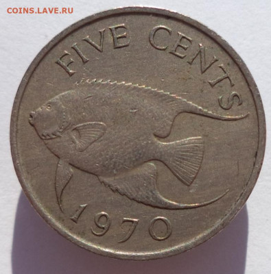 5 центов 1970 г. БЕРМУДЫ (Рыба) до 16.05.21 в 22:00 МСК - IMG_20210217_204043