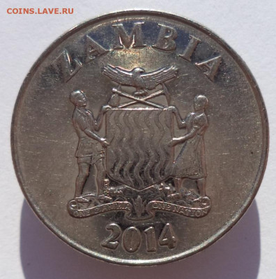 1 квача 2014 г. ЗАМБИЯ (Птица) до 16.05.21 в 22:00 МСК - IMG_20210217_192027