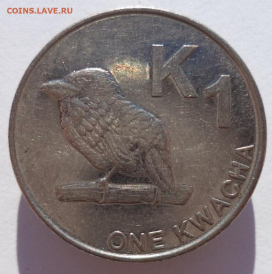 1 квача 2014 г. ЗАМБИЯ (Птица) до 16.05.21 в 22:00 МСК - IMG_20210217_192012