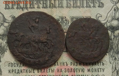 Копейка и денга 1789 г. ЕМ до 19.05 в 22.00 - DSCN6016.JPG