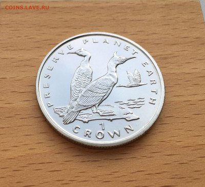 Крона Шайба Гибралтар 1 крона 1996 Баклан - IMG_5720.JPG
