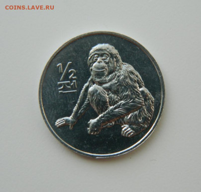2 чона 2002 г.(Юбилейная) Фауна до 24.05.21 - DSCN8877.JPG