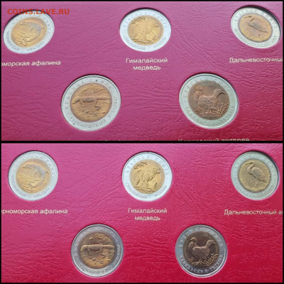 Набор Красной книги 15 монет, 1991-1994г. До 21.05 - IMG_20210507_154447